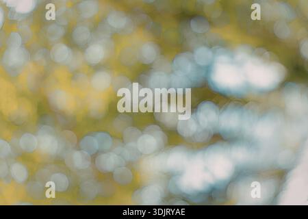 Une photographie rapprochée d'une scène de nature floue avec des teintes vertes et bleues. L'image capture l'essence d'un environnement serein avec indistinct Banque D'Images