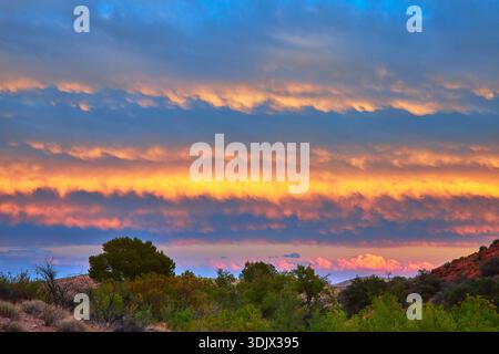 Nuages colorés de coucher de soleil au-dessus du paysage du désert avec végétation et ciel dramatique Banque D'Images