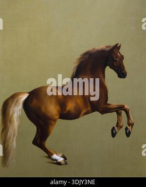 Whistlejacket, par George Stubbs, vers 1762 Banque D'Images