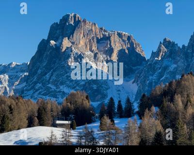 Vue hivernale du groupe montagneux Sassolungo (Langkofel) sur le haut plateau de Seiser Alm (Alpe di Siusi) dans les Dolomites - Tyrol du Sud, Italie Banque D'Images