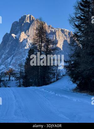 Vue hivernale du groupe montagneux Sassolungo (Langkofel) sur le haut plateau de Seiser Alm (Alpe di Siusi) dans les Dolomites - Tyrol du Sud, Italie Banque D'Images