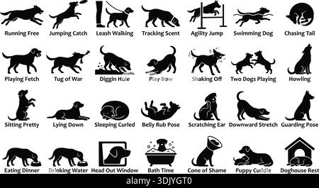 Ensemble de 28 pictogrammes noirs vectoriels ultra-plats illustrant les activités communes des chiens, les commandes, les poses et les comportements, isolés sur un fond blanc pour EA Illustration de Vecteur