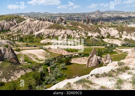 Paysage panoramique de la vallée de la Cappadoce avec une végétation verte et le château d'Uchisar au loin, Cappadoce, Turquie Banque D'Images