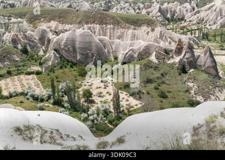 Vue panoramique sur une vallée verdoyante avec vignobles et cheminées de fées en Cappadoce, Turquie Banque D'Images