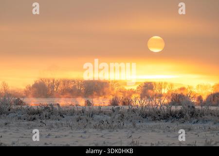 lever de soleil d'hiver doré sur des champs enneigés givrés Banque D'Images