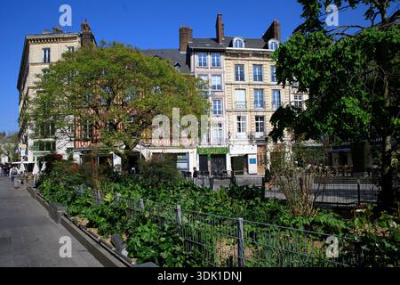 France, région Normandie, département Seine-maritime, Rouen, rive droite, place de la Pucelle, Banque D'Images