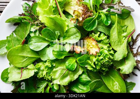 Vue détaillée des salades vertes avec des feuilles de laitue et un mélange de feuilles. Texture naturelle fraîche montrée en gros plan Banque D'Images