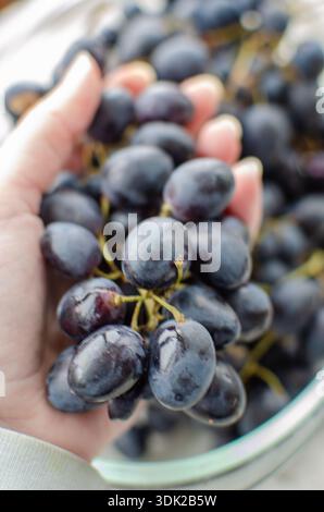Poignée de raisins foncés : frais, saine alimentation, et douceur naturelle Banque D'Images