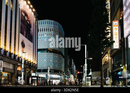 Tokyo, Japon - 3 août 2024 : vue nocturne du quartier de Ginza à Tokyo, avec des bâtiments illuminés et des lampadaires. Banque D'Images