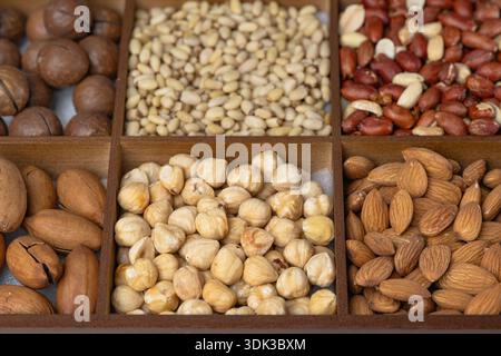 Fond de noix mélangé : noix de pin, pistaches, noix de cajou, amandes, noisettes, arachides, macadamia, pacanes, graines de citrouille Banque D'Images