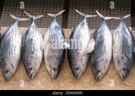 Marché aux poissons à Funchal, Mercado dos Lavradores, Madère, Portugal, Europe Banque D'Images