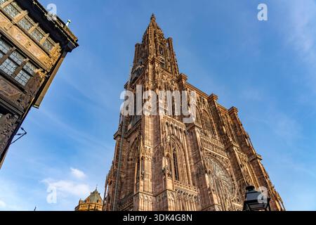 Cathédrale de Strasbourg à Strasbourg, Alsace, France Banque D'Images