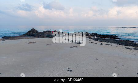 Large plage de sable menant à des roches volcaniques sombres et un océan calme sous un ciel nuageux pastel au lever du soleil, paysage marin tranquille avec espace de copie et petit lointain Banque D'Images