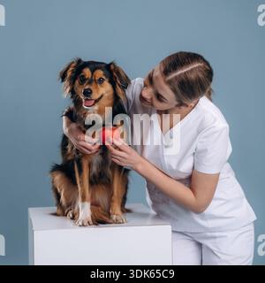 Cardiologue professionnel, petit coeur. Femme vétérinaire est avec chien de race mixte. Banque D'Images