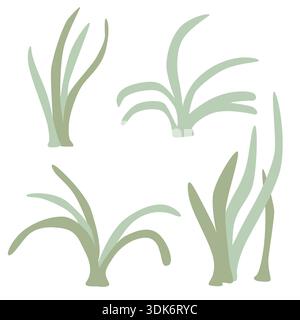 Illustration simple de quatre touffes d'herbe stylisées dans différentes nuances de vert sur un fond blanc, soulignant le minimalisme et les formes organiques de nature. Banque D'Images