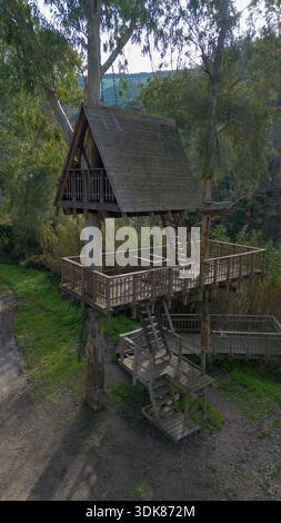 Maison d'arbre en bois construite autour d'un arbre vivant, entourée par la nature de la forêt et des allées surélevées. Banque D'Images