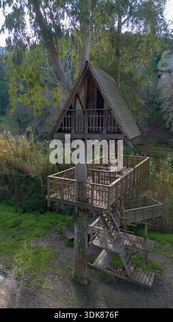 Maison d'arbre en bois construite autour d'un arbre vivant, entourée par la nature de la forêt et des allées surélevées. Banque D'Images
