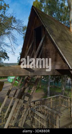 Maison d'arbre en bois construite autour d'un arbre vivant, entourée par la nature de la forêt et des allées surélevées. Banque D'Images