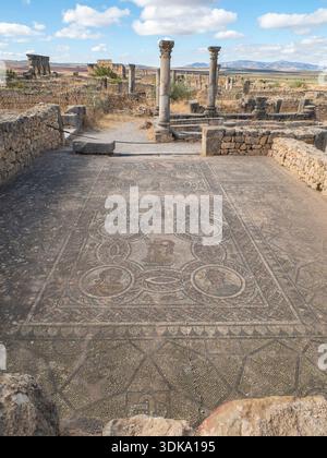 Une mosaïque romaine des quatre saisons dans la Maison des travaux d'Hercule à Volubilis, patrimoine de l'UNESCO. Complexe de ruines de la ville romaine Volubili Banque D'Images
