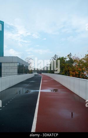 Plan vertical d'une piste de course rouge et noire sur un pont surélevé, avec des flaques de pluie reflétant le ciel bleu et les nuages. Banque D'Images