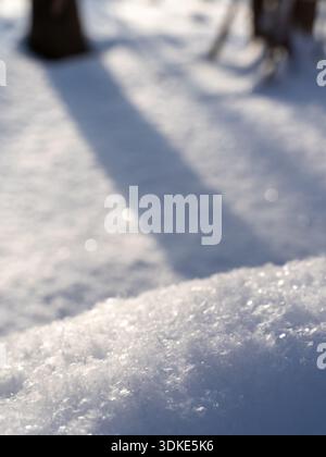 Fond d'hiver abstrait avec de la neige pétillante, des reflets bokeh doux et de longues ombres, texture saisonnière minimale et calme adaptée à la conception et à la copie Banque D'Images