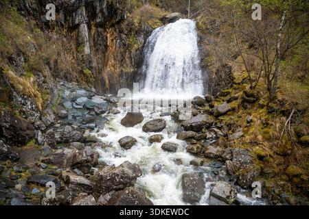 Cascade Korbu près du lac Teletskoye dans l'Altaï Russie. Puissant jet d'eau tombant de falaise entourée de forêt sauvage Banque D'Images