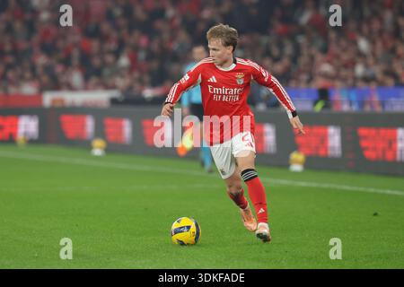 2026.01.25 xfsx , Fussball, Liga Portugal , SL Benfica - Estrela da Amadora v.l. Andreas Schjelderup (SL Benfica ,21) in aktion, en action, les règlements interdisent toute utilisation de photographies comme séquences d'images et/ou quasi-vidéo. Banque D'Images