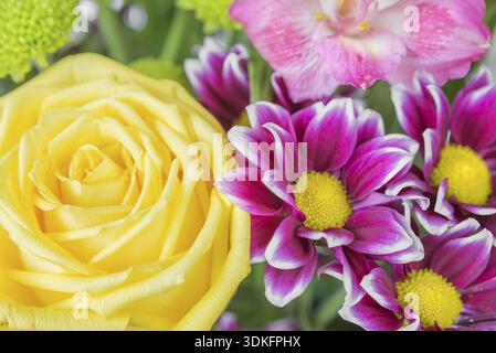 Bouquet de différentes fleurs (rose jaune et chrysanthème marron) gros plan Banque D'Images