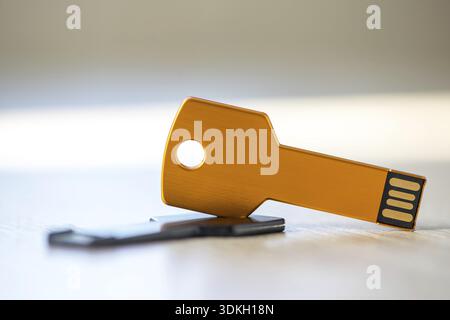 Gros plan d'un lecteur de stylo, disque flash assis sur un lecteur de disque. Forme de porte-clés Banque D'Images