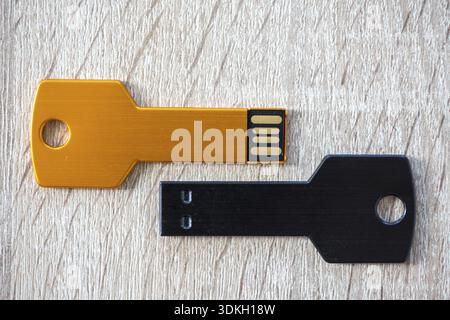 Gros plan d'un lecteur de stylo, disque flash assis sur un lecteur de disque. Forme de porte-clés Banque D'Images