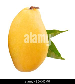Un fruit de mangue jaune mûr avec des feuilles vertes en pile est isolé sur fond blanc avec chemin de découpage. Banque D'Images