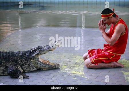 THAÏLANDE, PATTAYA - 02 NOVEMBRE : traditionnel pour la Thaïlande exposition de crocodiles . Un gardien de zoo taquine un crocodile 02 novembre 2009. Thaïlande, Pattaya Banque D'Images