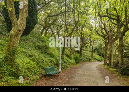 Chemin vide avec des bancs verts dans le parc luxuriant de la ville Banque D'Images