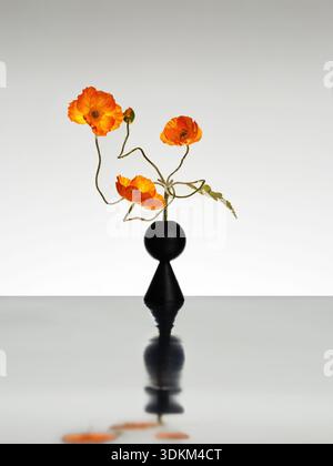 Composition florale minimaliste avec coquelicots orange dans un vase noir moderne sur surface réfléchissante Banque D'Images