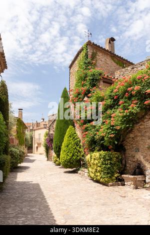 Maisons en pierre recouvertes de fleurs colorées bordant une étroite rue ancienne de catalogne Banque D'Images