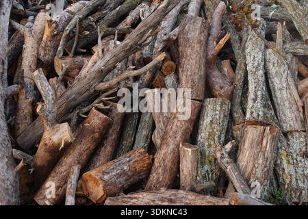 Pile de bûches de bois coupées morceaux de troncs d'arbres et de branches empilés ensemble. Banque D'Images