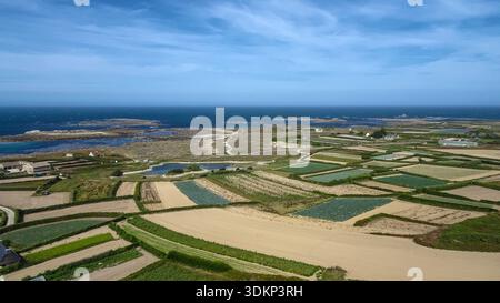 Une mosaïque époustouflante de champs en patchwork s'étend le long du littoral jusqu'à l'horizon, où la terre rencontre la mer sous un ciel d'été vaste et tranquille. Banque D'Images