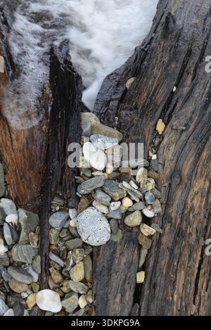 Bois, pierres, mer, plage, bord de mer, nature morte, nature, vieux bois, cailloux, cailloux, cailloux, vague, vagues, eau, rivage Banque D'Images