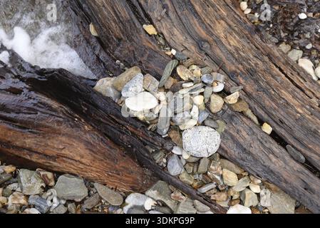 Bois, pierres, mer, plage, bord de mer, nature morte, nature, vieux bois, cailloux, cailloux, cailloux, vague, vagues, eau, rivage Banque D'Images