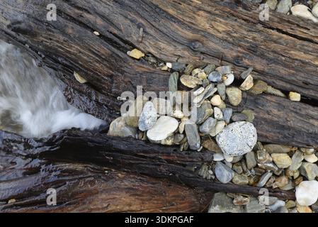 Bois, pierres, mer, plage, bord de mer, nature morte, nature, vieux bois, cailloux, cailloux, cailloux, vague, vagues, eau, rivage Banque D'Images