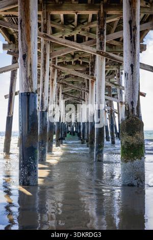 Sous Newport Beach Pier, comté d'Orange, Californie - pilotis en bois dans l'eau peu profonde de l'océan à marée basse. Banque D'Images