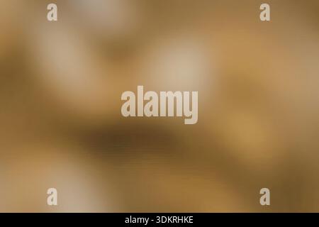 L'image présente une composition floue et abstraite avec une teinte brune dominante avec des nuances beige, créant un effet visuel doux et texturé. Banque D'Images
