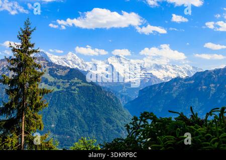 Vue des Alpes bernoises depuis Harder Kulm, Suisse Banque D'Images