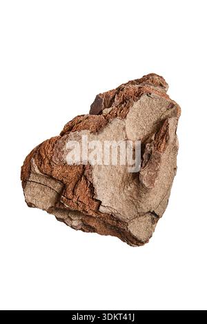 Morceau d'écorce naturelle brun sec isolé sur fond blanc Banque D'Images