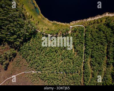 Une vue aérienne d'un paysage boisé avec un chemin blanc courbé à travers des arbres denses et le long du bord d'une masse d'eau sombre. Banque D'Images