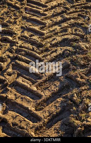Vue rapprochée des traces profondes de pneus boueux laissées par les machines agricoles sur des terres agricoles cultivées. Banque D'Images