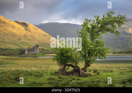 Vue d'un ancien château en ruine niché par un lac serein, encadré par des collines ondulantes et un arbre balayé par le vent au premier plan, Dalmally, Écosse, United Ki Banque D'Images
