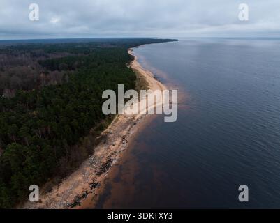 Vue aérienne du rivage sablonneux courbe avec lisière de la forêt de conifères. Les rochers bordent le surf sous la lumière nuageuse tandis que la plage et la limite des arbres mènent le regard vers A. Banque D'Images