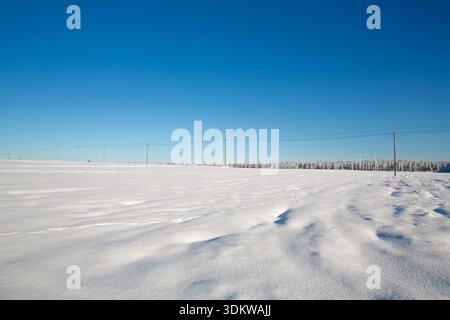 Vaste champ enneigé avec de la neige blanche intacte traversé par des lignes électriques, capturé dans un paysage hivernal serein. Banque D'Images