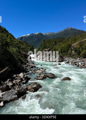 Une rivière bleu clair éclatante coule à travers l'ancienne forêt de Patagonie sous un ciel bleu clair, créant un contraste saisissant avec la végétation luxuriante Banque D'Images